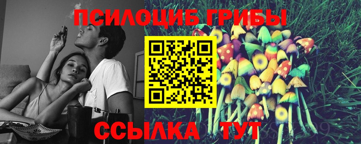 Галлюциногенные грибы прущие грибы  Псилоцибиновые грибы Magic Shrooms  Вход с VPN  Россошь 