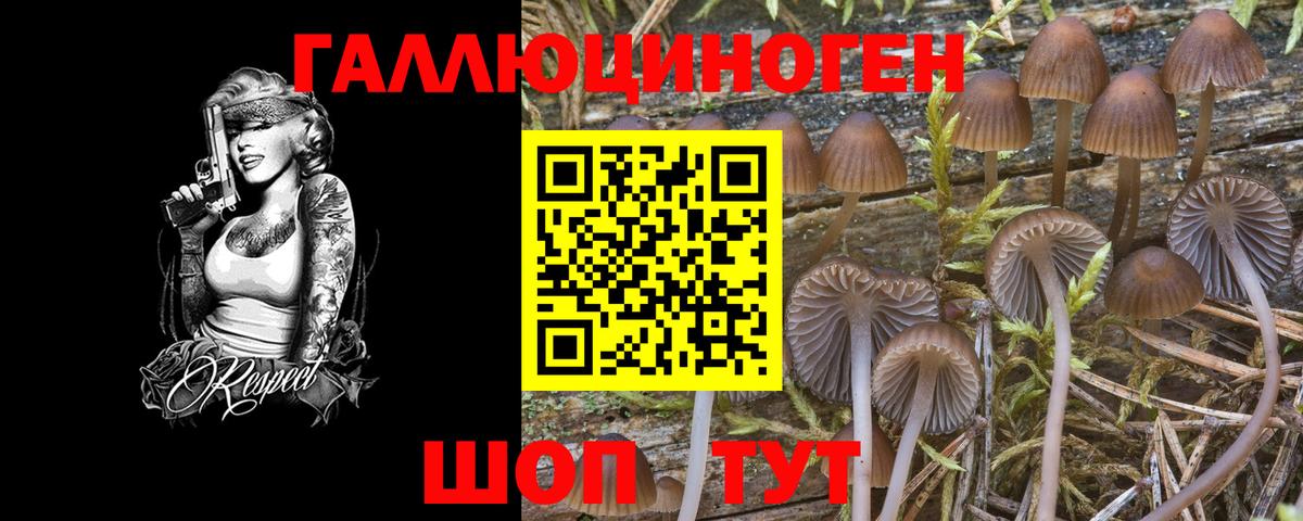 Галлюциногенные грибы MAGIC MUSHROOMS Россошь